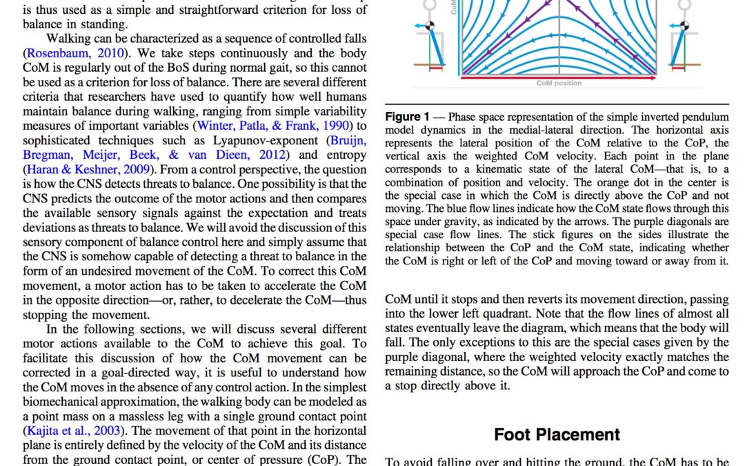 Publication: Strategies for the Control of Balance During Locomotion