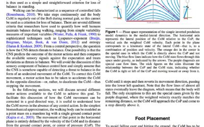 Publication: Strategies for the Control of Balance During Locomotion